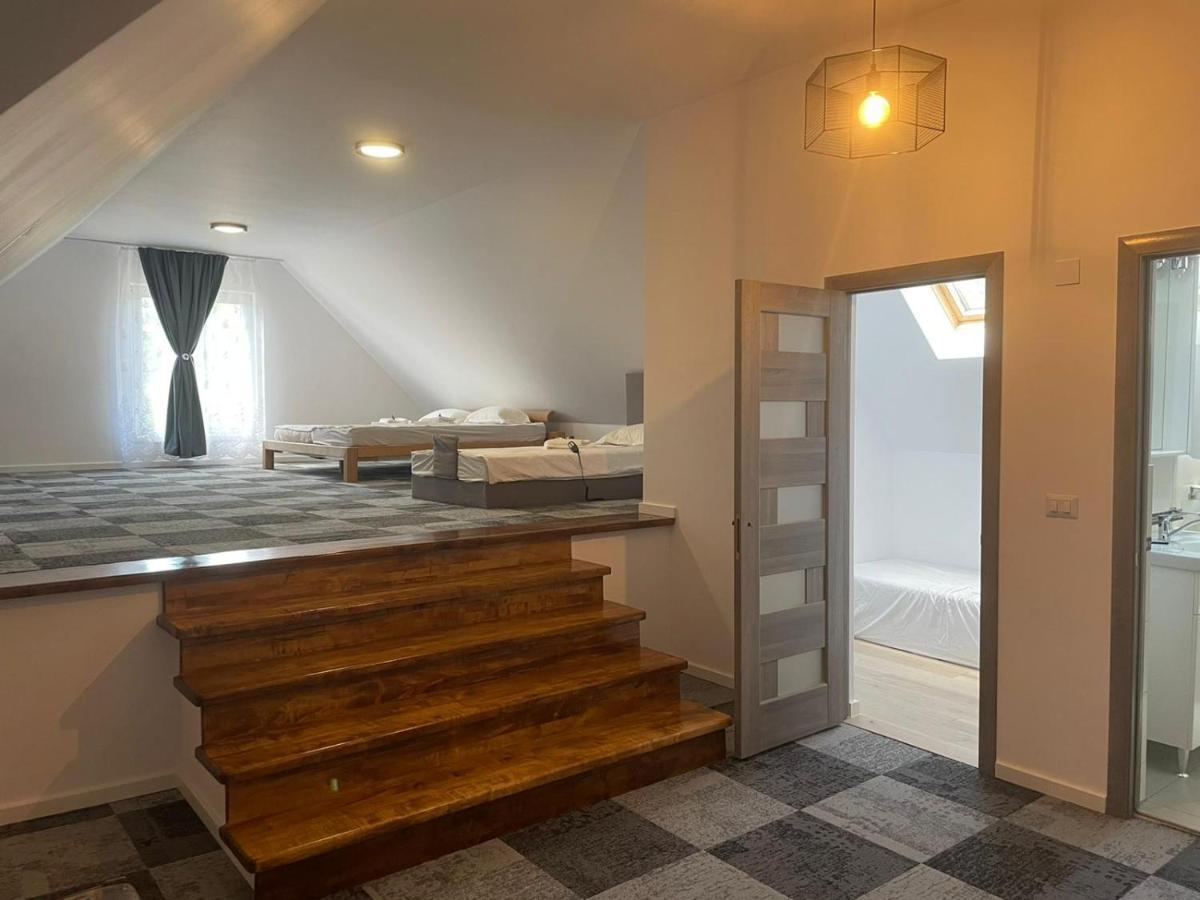 Casa Rotari Apartment Voitinel