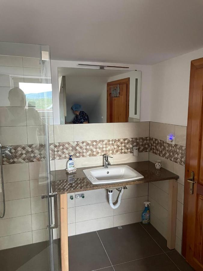 Apartment Casa Rotari Voitinel